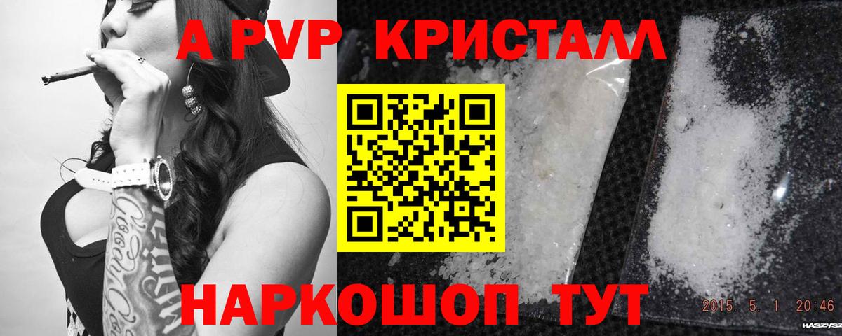 A PVP СК КРИС Кингисепп
