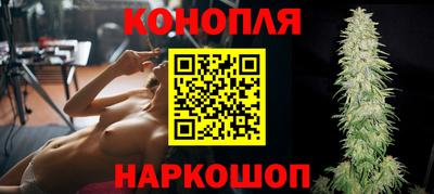 МДПВ Бийск