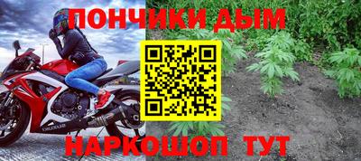 МДПВ Бийск