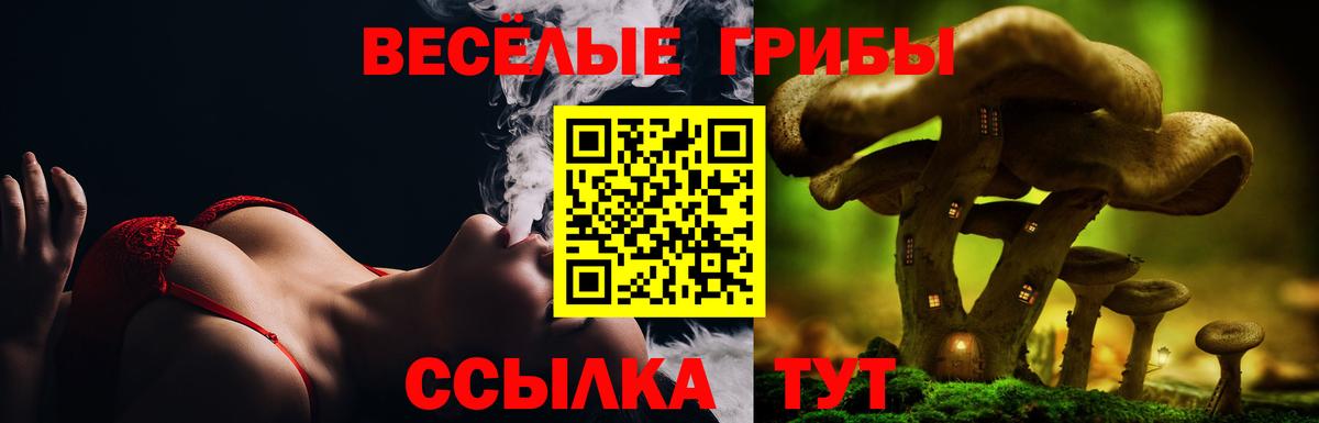 Псилоцибиновые грибы мухоморы  купить  цена  Кингисепп  Вход с VPN 