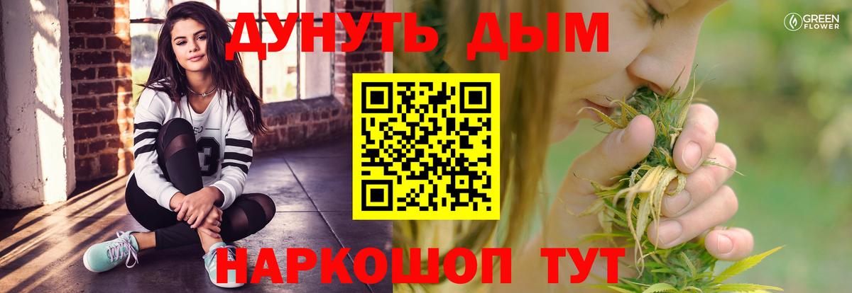 Канабис семена Кингисепп